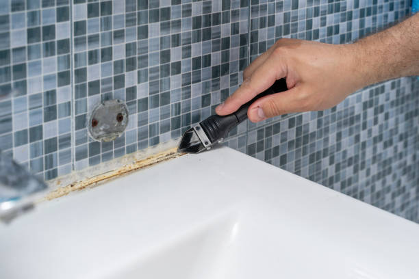 Salisbury, MD Mold Remediation Company
